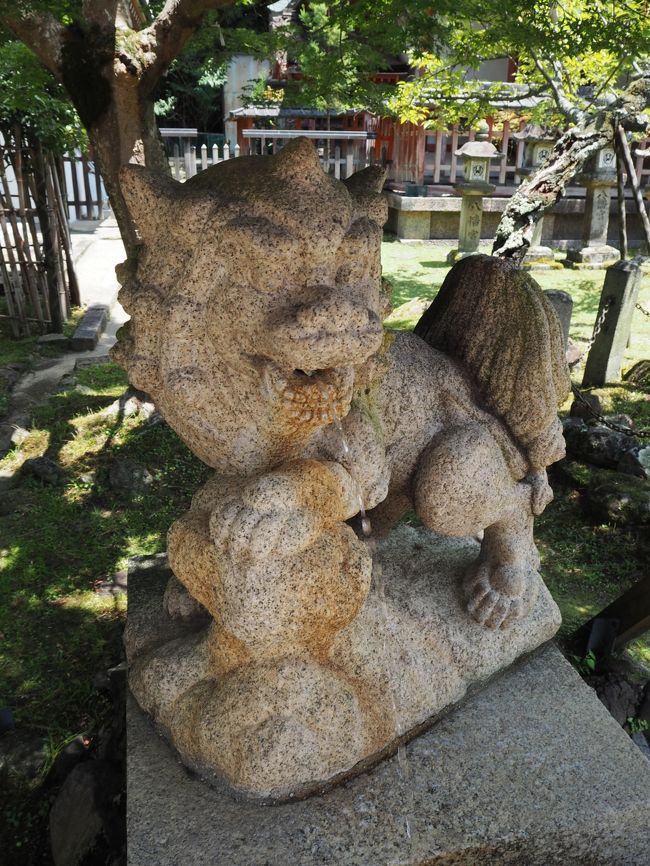 手水は獅子の口から。