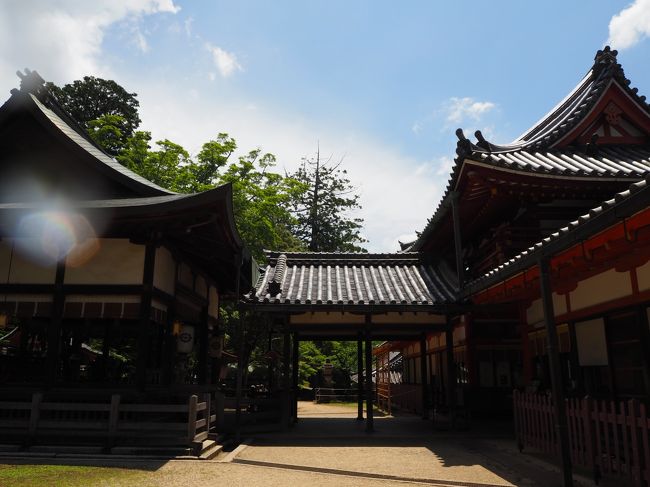 右楼門、左拝殿。