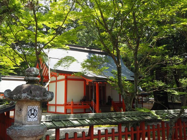 向こうにもお宮が見えます。