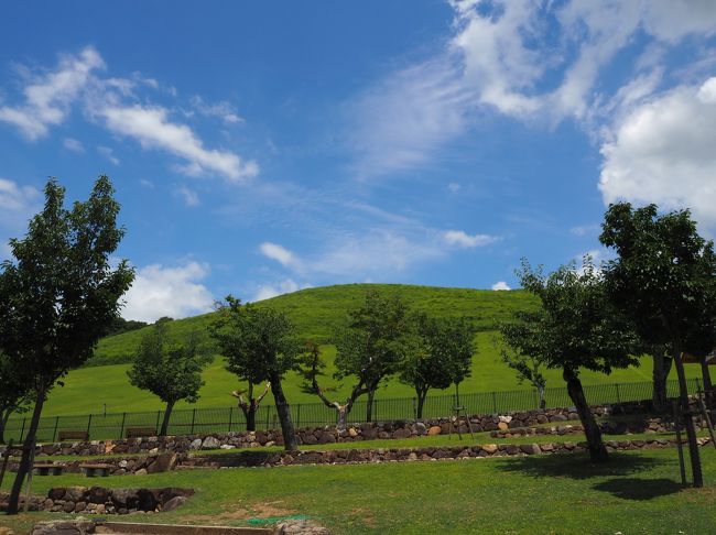 向いは、若草山です。<br /><br />（おしまい）