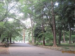 氷川神社の背後は広大な「大宮公園」になっていました。