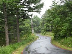 湯の丸高原の地蔵峠まで下ります。
湿気が凄いですが、雨は上がりました。