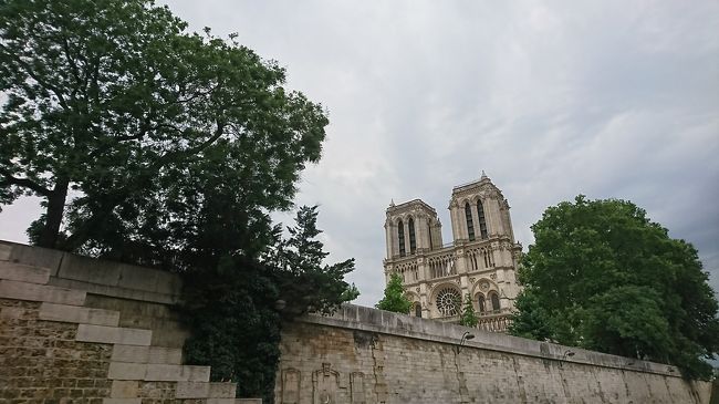ノートルダム大聖堂が見えてきました。