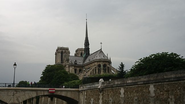 こっちが後ろ姿なのでしょうか？