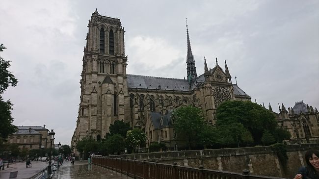 雨はやみましたが、曇り空です。<br />セーヌ河の橋の上からパチリ