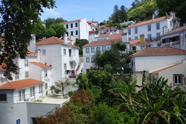 お部屋からの眺めは最高！