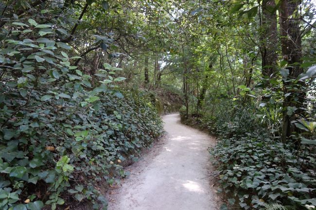 途中の道を歩いているだけでも気持ちいい。