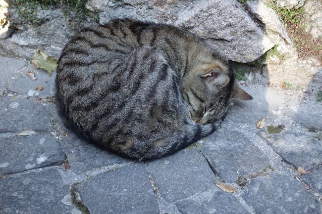 宮殿よりもこちらが好み。