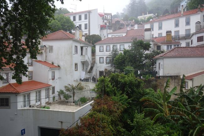 明け方から大雨。<br />時差ボケで早くに目が覚めたのですがなかなかやまずヤキモキしました。<br />8時頃からようやく雨があがりそうな気配になりました。<br />