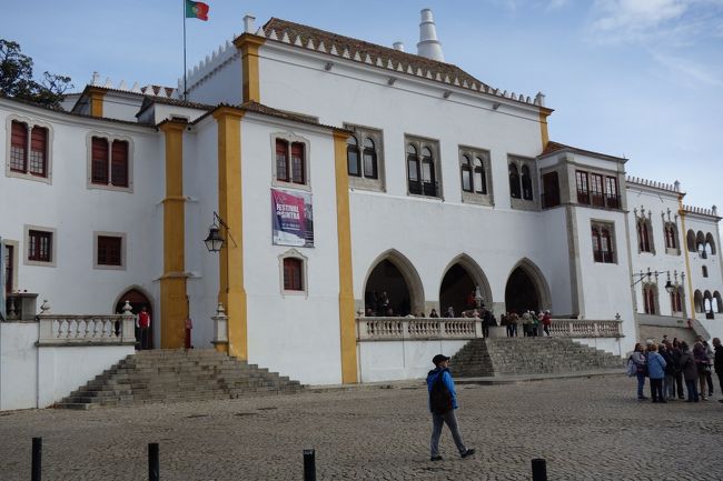 この日は王宮、ペーナ宮、ムーアの城跡、ロカ岬と我が家としてはあり得ないハードスケジュールなので9時過ぎにはアパートを出発しました。<br />入場口には行列が少し。<br />前日の午後よりは列は短いです。