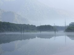 立ち枯れの木がありますが、昔に比べたらだいぶ減ったそうです。