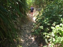 沖縄の離島の好きなところ。
こんな道をかき分けて行くと、誰もいないビーチに出たりする。