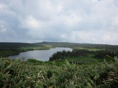 八幡沼

複数の火口が連なってできた複合火口湖。