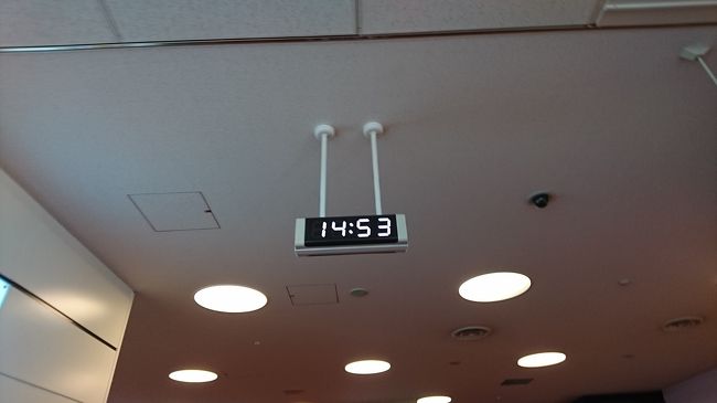 無事に羽田空港につきました。<br />2回目のフランスでしたが、同じ場所に行っても新鮮でしたし、前回違ったフランスの旅を経験できました。<br />フランスいいですね。またまた、ぜひ行きたいです。<br />ノートルダムのゼロ地点の言い伝えが叶うといいなぁ。<br /><br />最後まで読んでいただき、ありがとうございました。