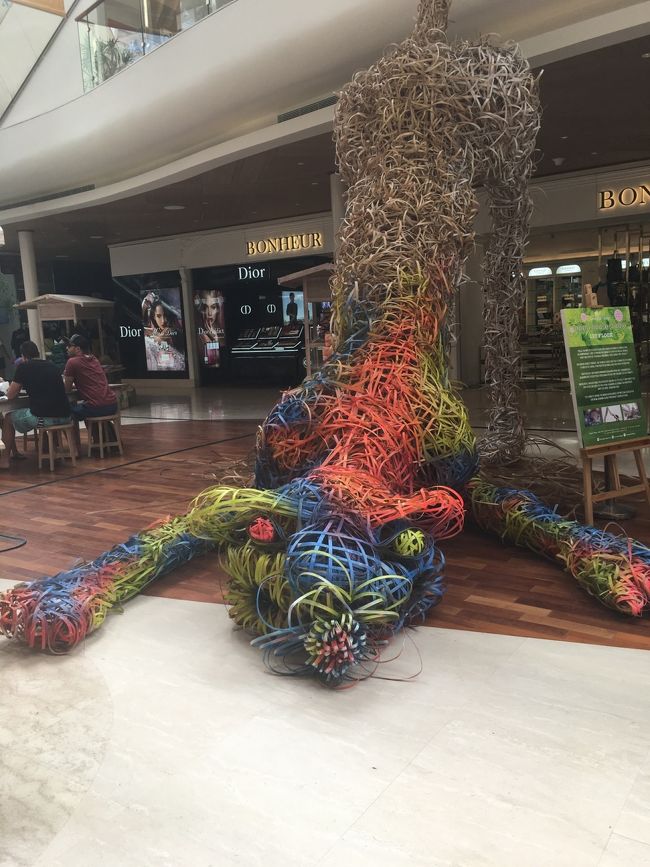 11時ごろにはプールを出てスミニャックの街をジャランジャランです。<br />さすがおしゃれなショップが立ち並んでいます。<br />途中「seminyak village」というショッピングモールに立ち寄りました。<br /><br />綺麗なモールです。<br />不思議なトカゲ？をパチリ。