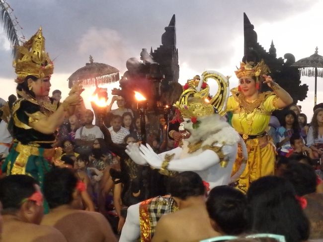 白猿ですね。後ろの岩に登ったり、アクロバティックな動きで大歓声をあびてました。