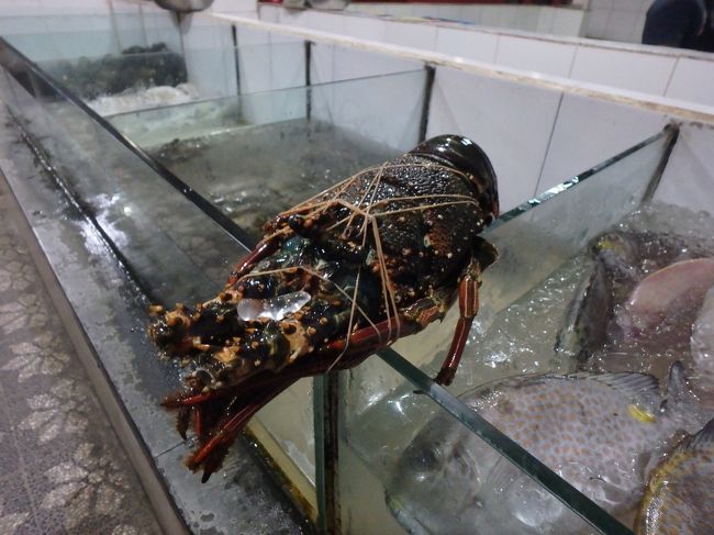 ロブスター。<br />700,000ルピアです。高級なのでみるだけー。