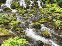 ●羊蹄山からの湧き水

初めて京極ふきあげ公園に来てみた。
綺麗に整備されていて、気持ち良い公園だった。