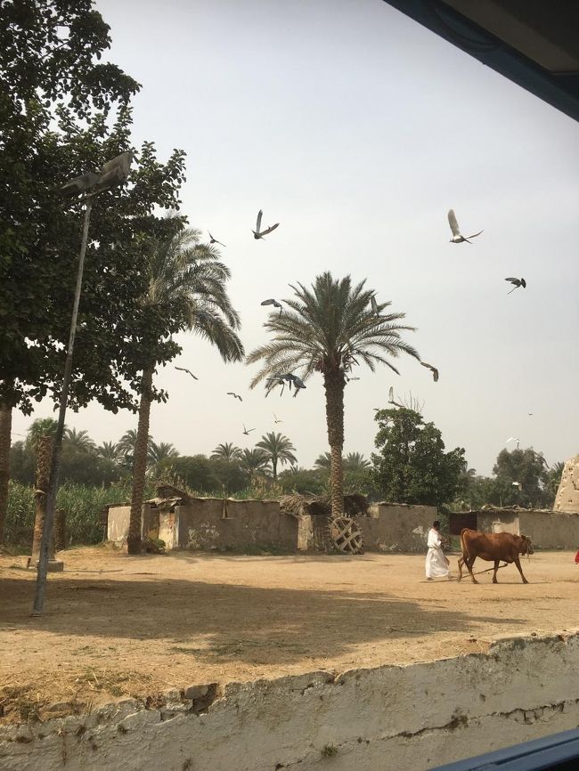 昔のくらしを再現している