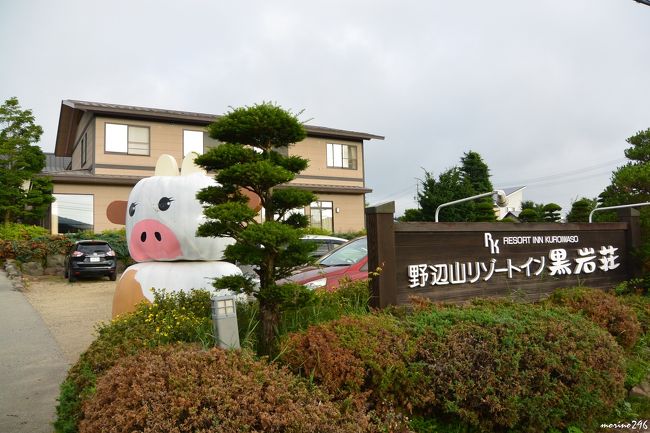 17夏の花旅 2 飯盛山 野辺山 清里 八ヶ岳 山梨県 の旅行記 ブログ By Morino296さん フォートラベル