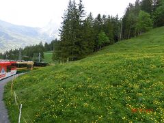 Grindelwald Grund に降りてきました。
帰りはグリーンデルワルト駅まで行きホテルまで300mほど歩きです。