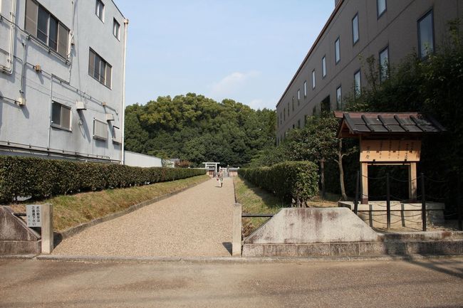 歩いていると左右にお店やホテルの立ち並ぶ繁華街に、急に白い整備された小道が現れました。