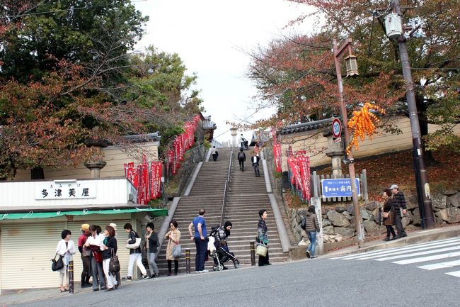 この階段を登ると興福寺だけど、その前に猿沢池へ