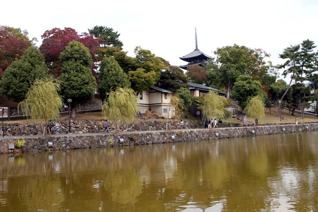 猿沢池の外周をぶらぶら