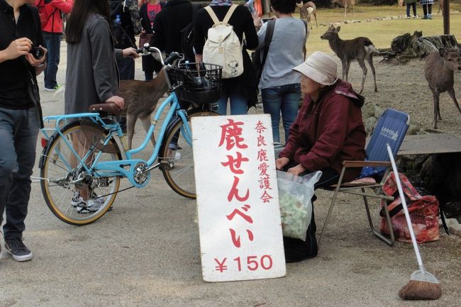 あちこちにいる鹿せんべいの売り子さん