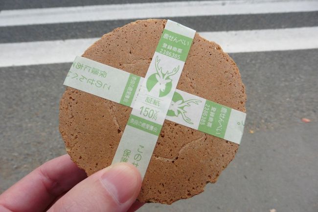 鹿せんべいは、米ぬかと小麦粉で出来ているそう。鹿せんべいを食べた中学の同級生曰く草っぽい味。