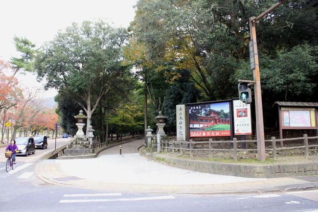 春日大社に続く参道