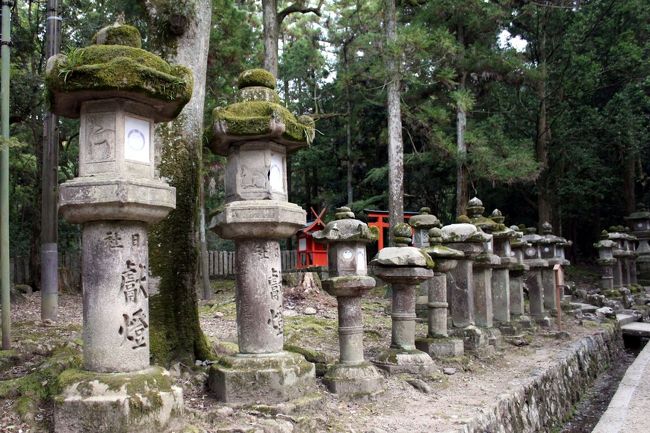 春日大社の灯籠の数は日本一多いそう。石灯籠は約2000基です。