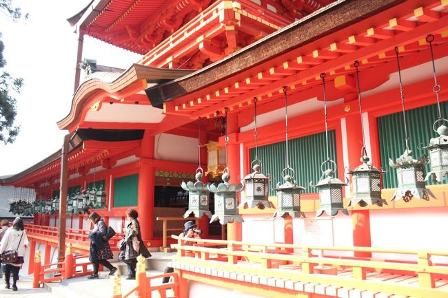 春日大社の釣灯籠の数は約1000基