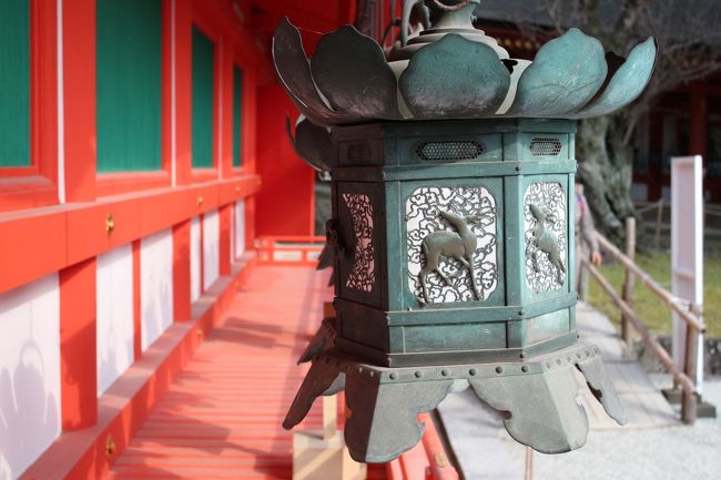 釣灯籠にもしっかり鹿の模様