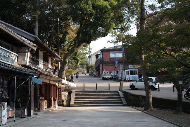 道から階段を下っただけで静かな雰囲気