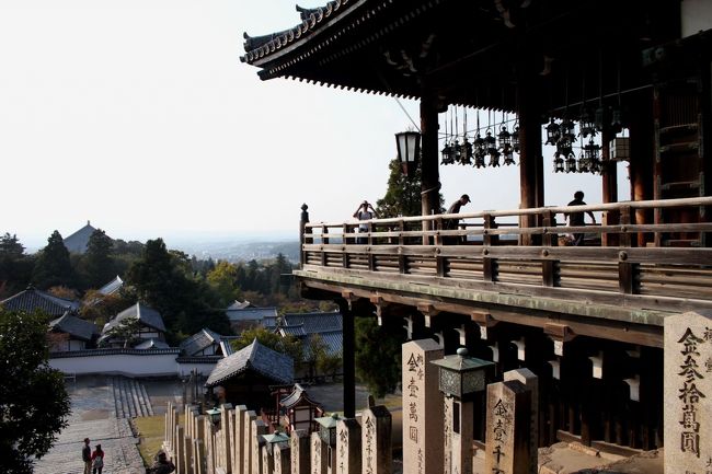 左側に見える三角屋根は大仏殿