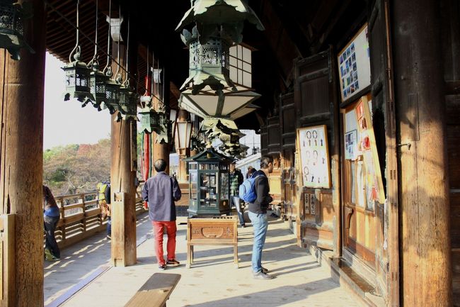 ここにも釣灯籠がたくさん