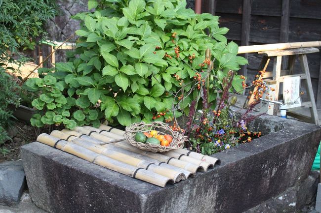 手水鉢かな？お花のイベントなのか飾り付けされていました