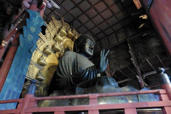 奈良の大仏様、巨大でした