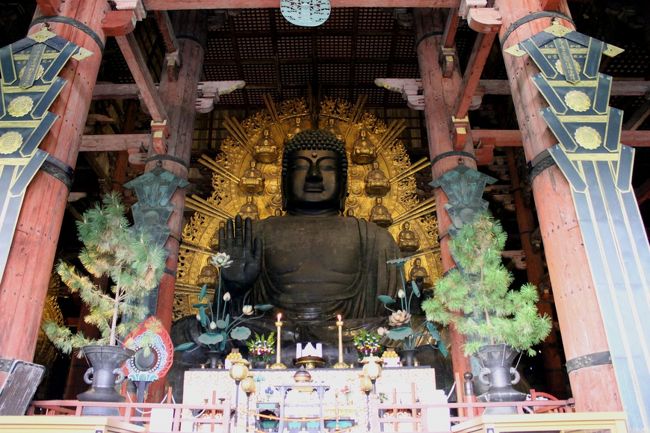 ようやく正面からお会いできました