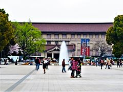 上野・桜-2　上野公園  見ごろ続く/花見客は減った/38     23