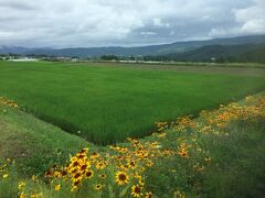 のどかな田園風景の中を行く。駅からの乗客は私一人だったんだけど、途中で二人乗ってきた。


