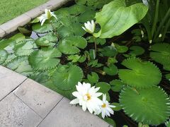 最終日の朝になりました。