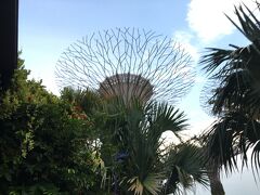 次はなにやら公園のようす。
バスを降りて見回すと、
なに！？あれ？木？