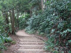  高尾山浄心門 の横に3号路へ行く道があります。
この日は3号路を歩きます。
歩き始めてすぐ下り。
頂上を目指しているはずなのに、下るというちょっと矛盾したコースですが
人も少なく緑も多く好きなコースです。
