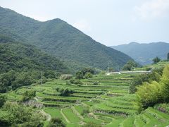 まずは中山千枚田に来ました