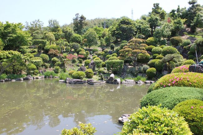 郷照寺の本坊横に、きれいに手入れされた庭園が広がっていました。