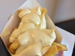 フリッツを購入。
ソースはマヨネーズ☆
これ、美味しすぎっ！！
日本で食べるフライドポテトと比較になりません！