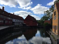デンガムレビュ。どうしてもこれが言えなかったので、オールドタウンでとおしました　。
デンマーク中から古い建物を移築してきたらしい。年代ごとに分けられている。建物の中には入ることができて、いろいろな展示をしていたり、お店だったり、結構なボリュームもあり、本格的で楽しい。