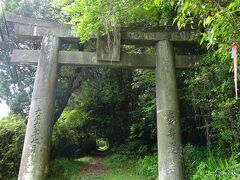 　ついに岩戸山古墳入口に到着  鳥居の奥は上りになっている。ここを上って行くのかと…足が止まる。